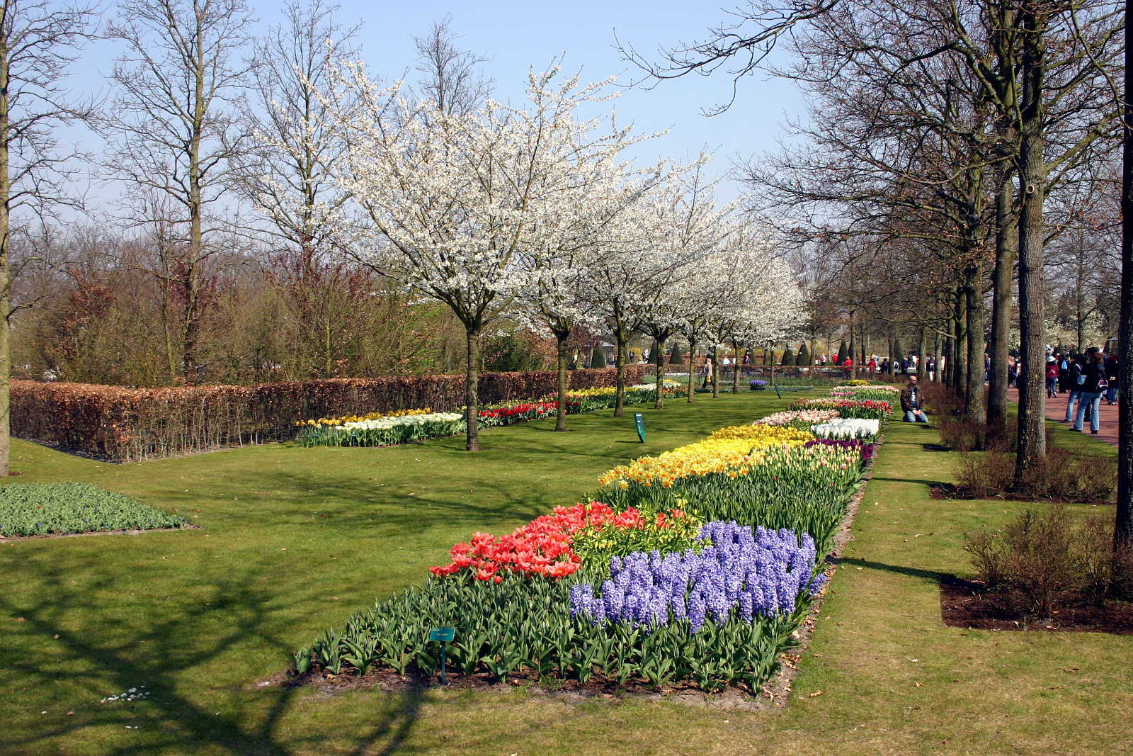 Keukenhof, Lisse